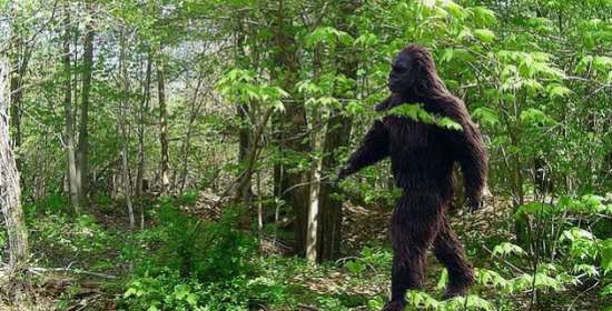 bigfoot