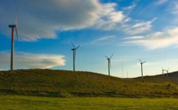 spinning spur google