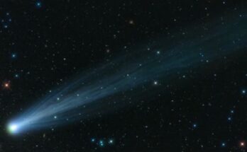 ison frantumazione