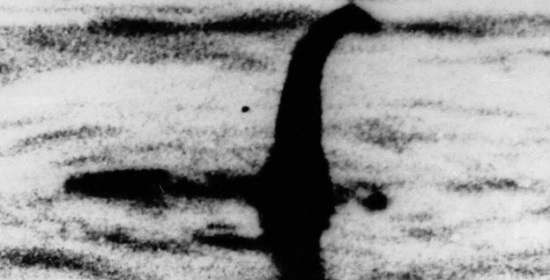lochness morto