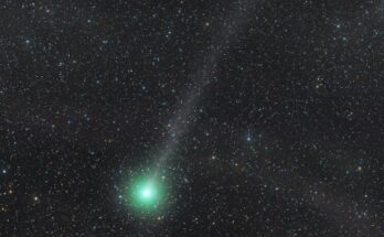 Lovejoy2014bis