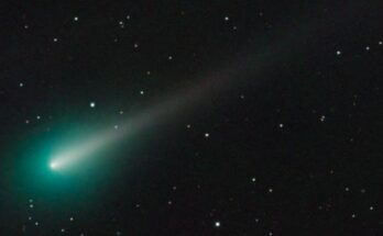 cometaNatale